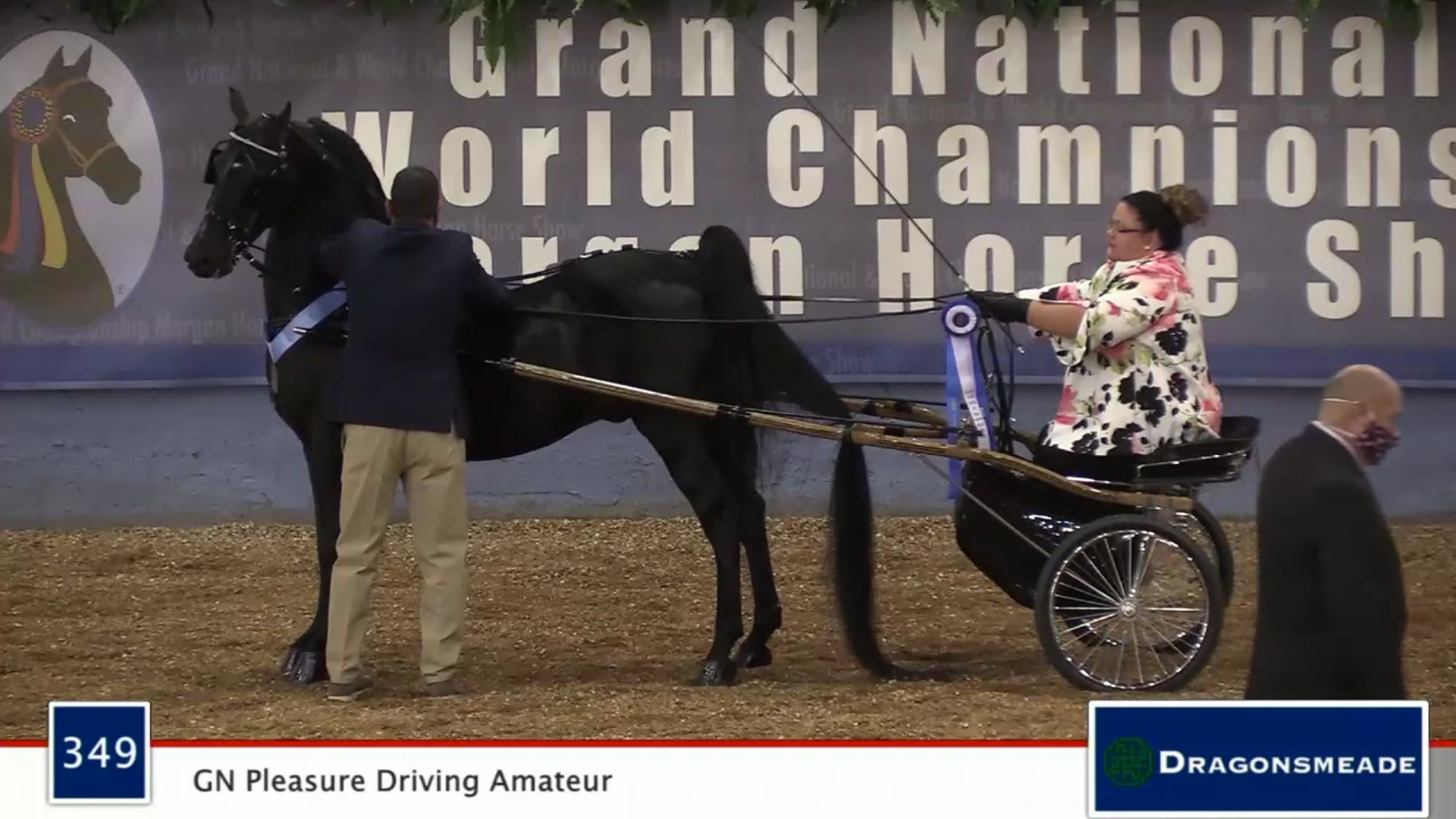 2020 MGN - 349 GN Pleasure Driving Amateur