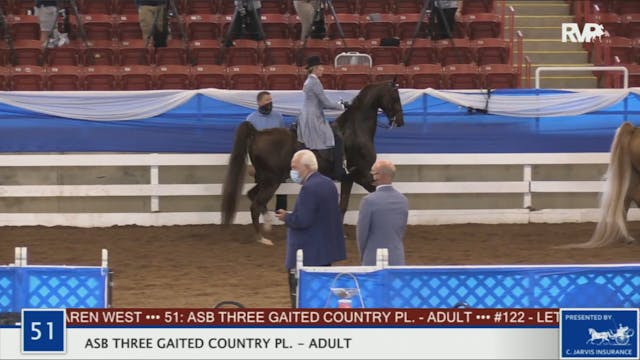 2020 BR - Class 51 ASB Three Gaited C...