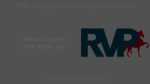 LJL 1988 - Class 30 - Five Gaited Jun...