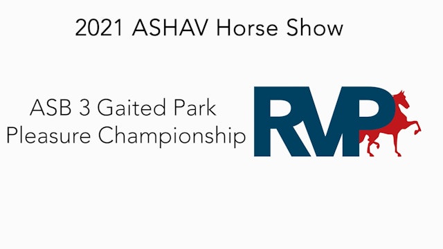 ASHAV21 - Class 100 - ASB 3 Gaited Park Pleasure Championship