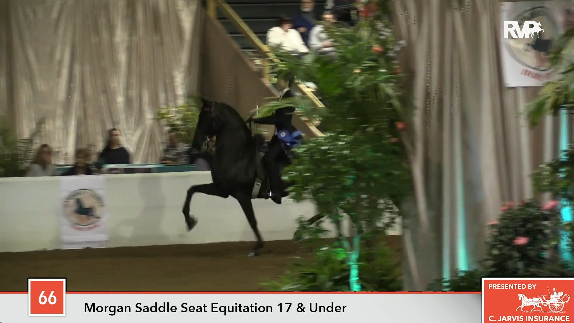 GASP18 - Class 66 - Caitlin Ferkile