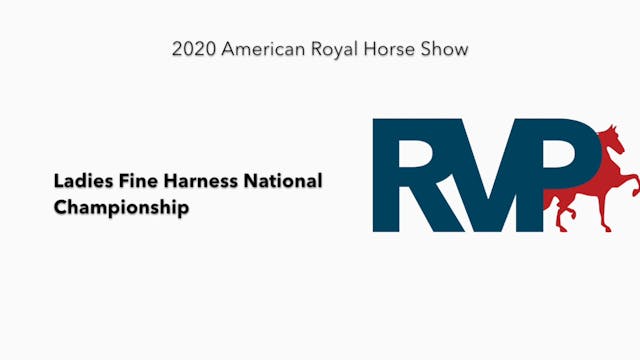 2020 AR - Class 151 Ladies Fine Harne...