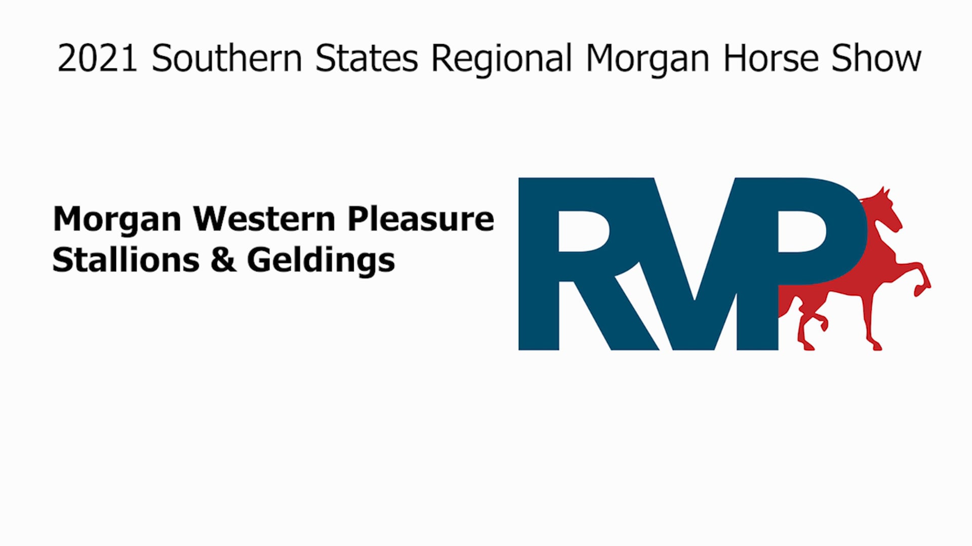 SS21 - Class 47 - Morgan Western Pleasure Stallions & Geldings