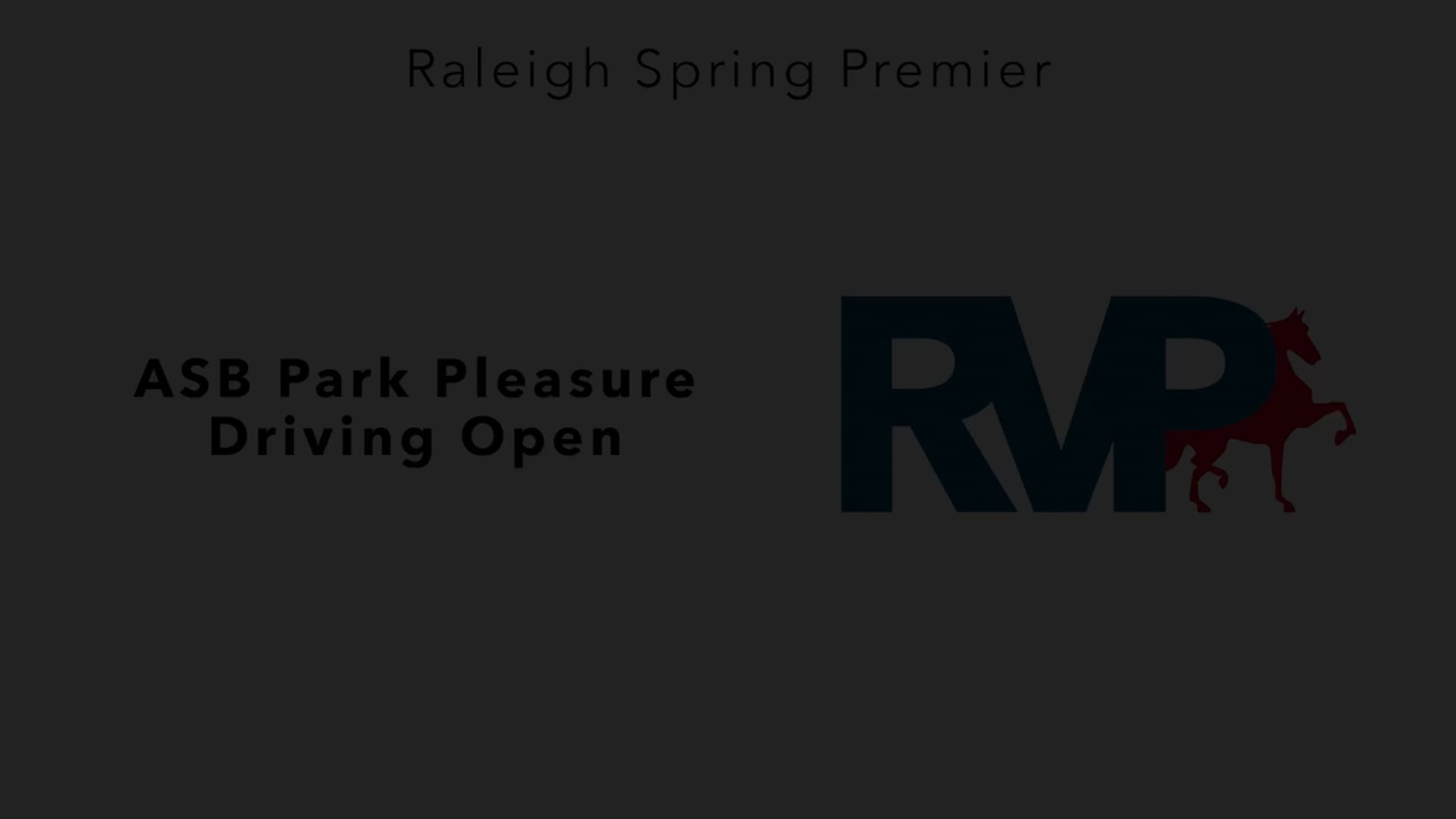 RSP25 - Class 4 - ASB Park Pleasure Driving Open