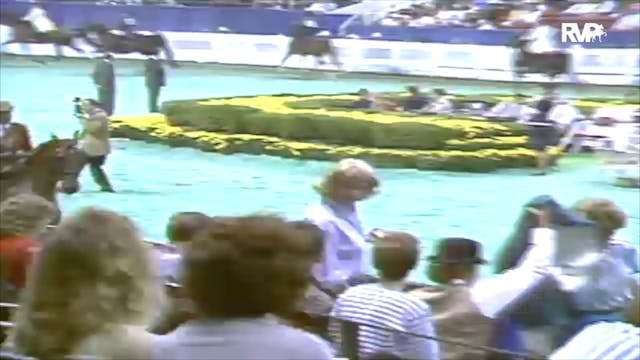 1991 WCHS Class 27 Three Gaited Pleas...