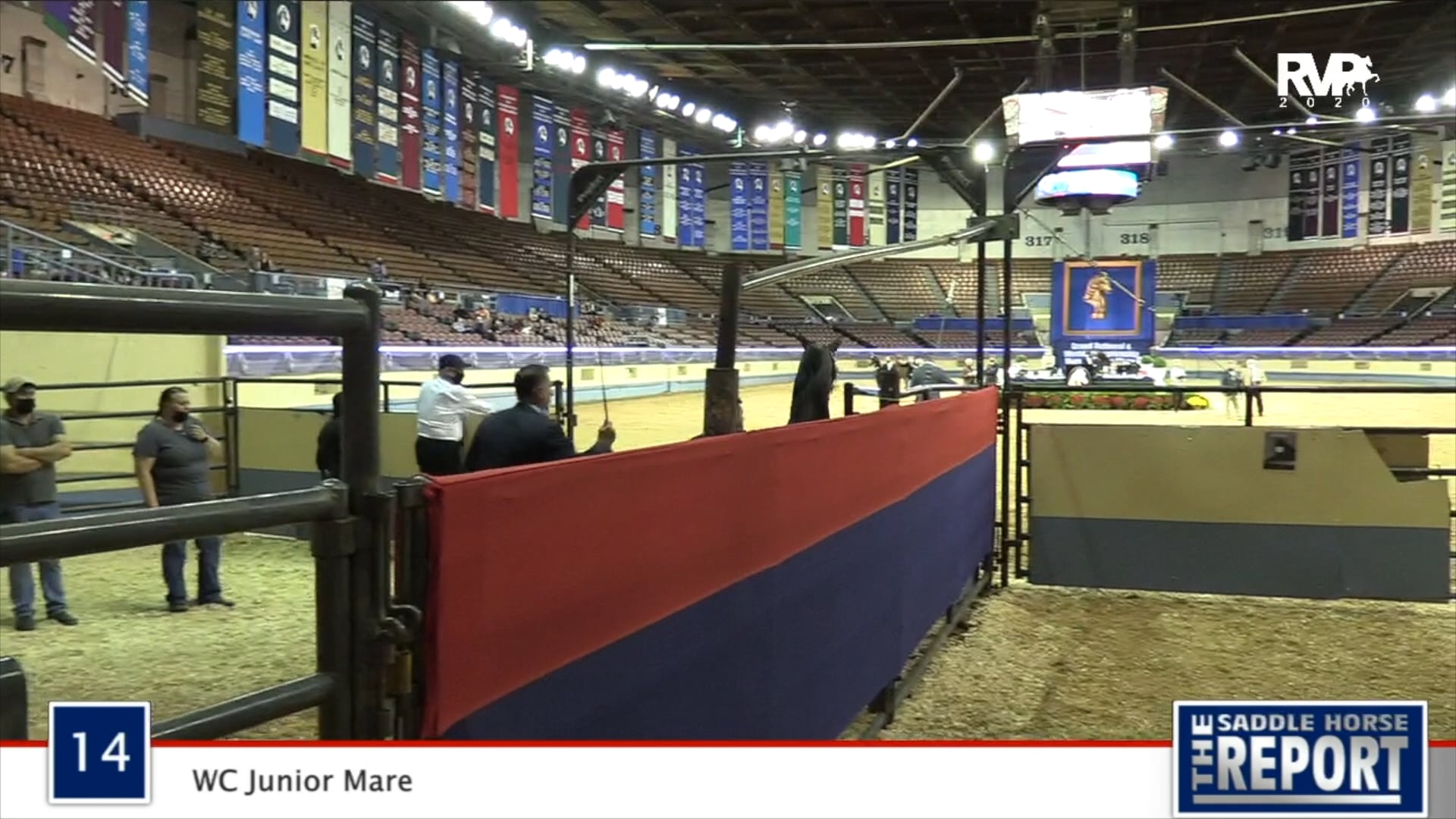 2020 MGN - Class 14 WC Junior Mare