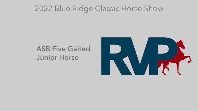 BR22 - Class 72 - ASB Five Gaited Jun...