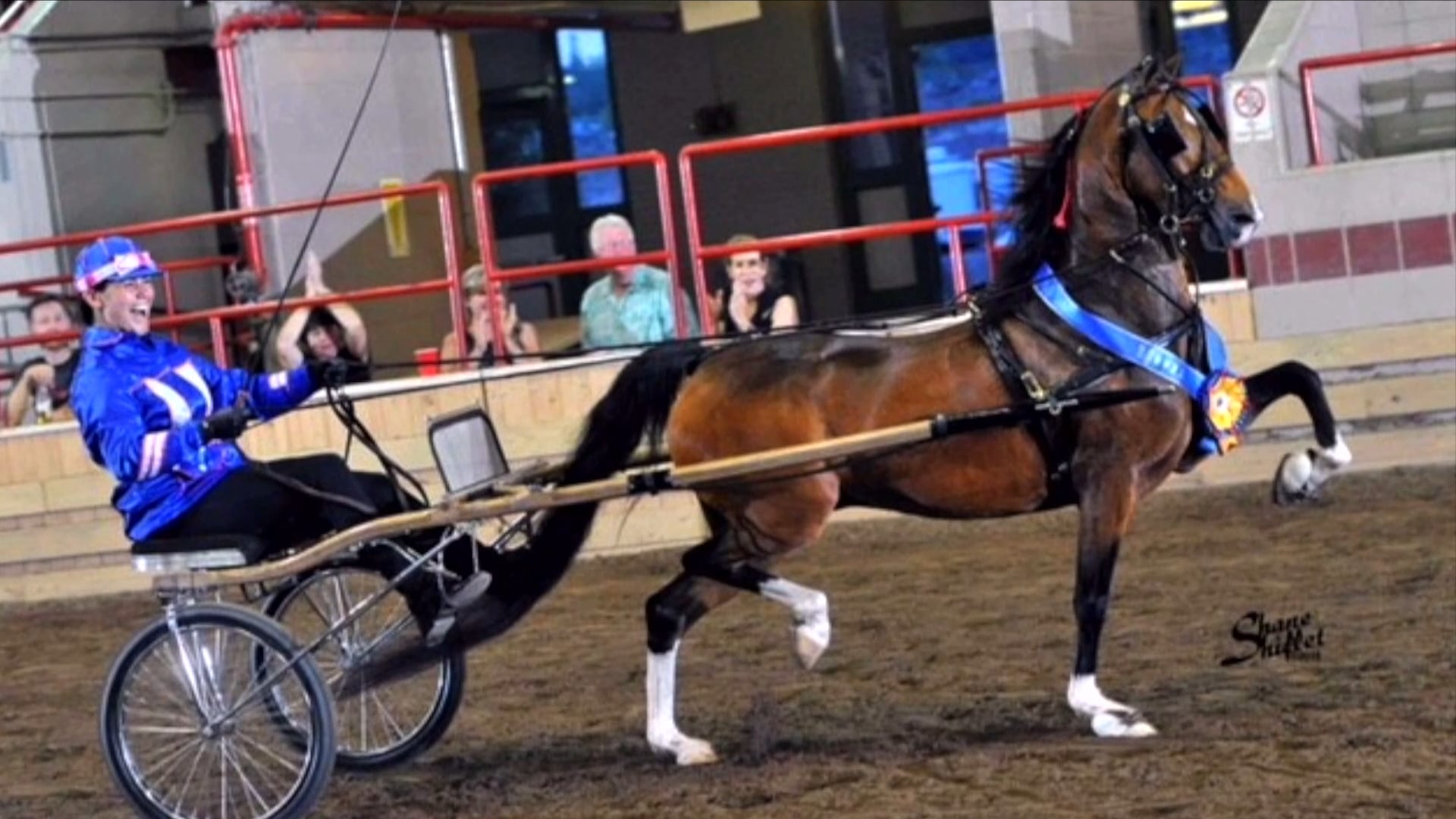 Katy Earehart -  AHHS Lydia Luhman Pederson 
National Distinguished Service Award