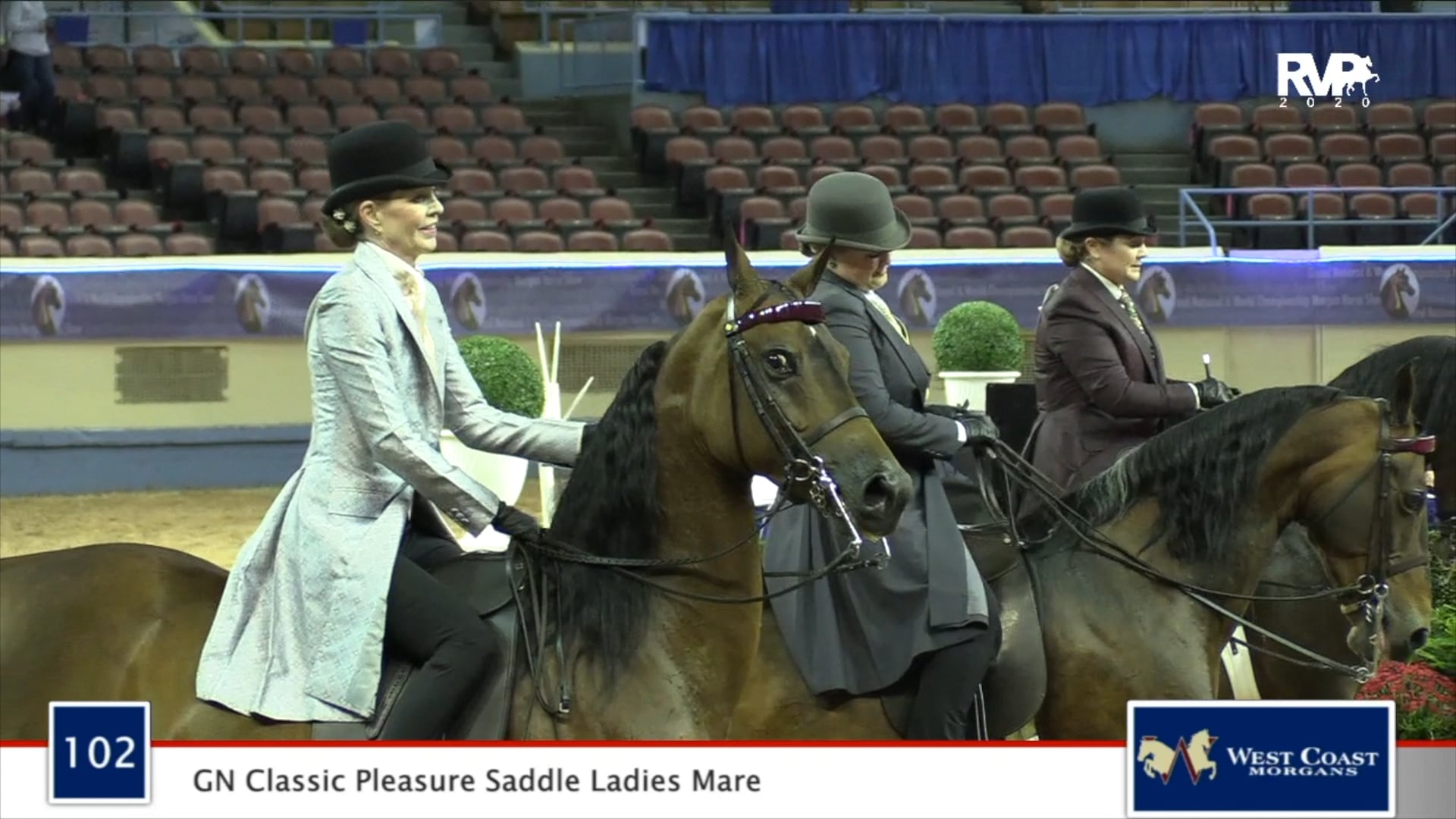 2020 MGN - Class 102 GN Classic Pleasure Saddle Ladies Mare