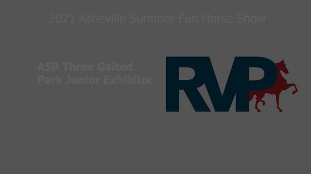 ASF21 - Class 3 - ASB Three Gaited Pa...