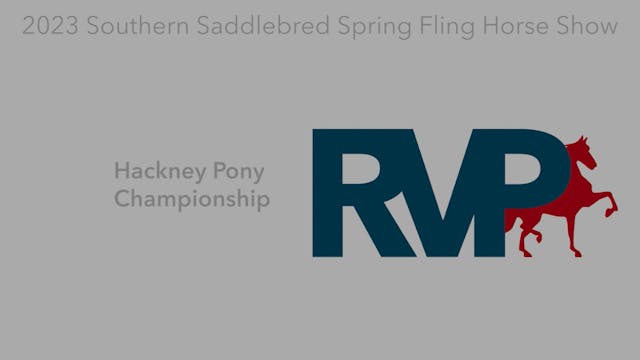 RR23 - Class 100 - Hackney Pony Champ...