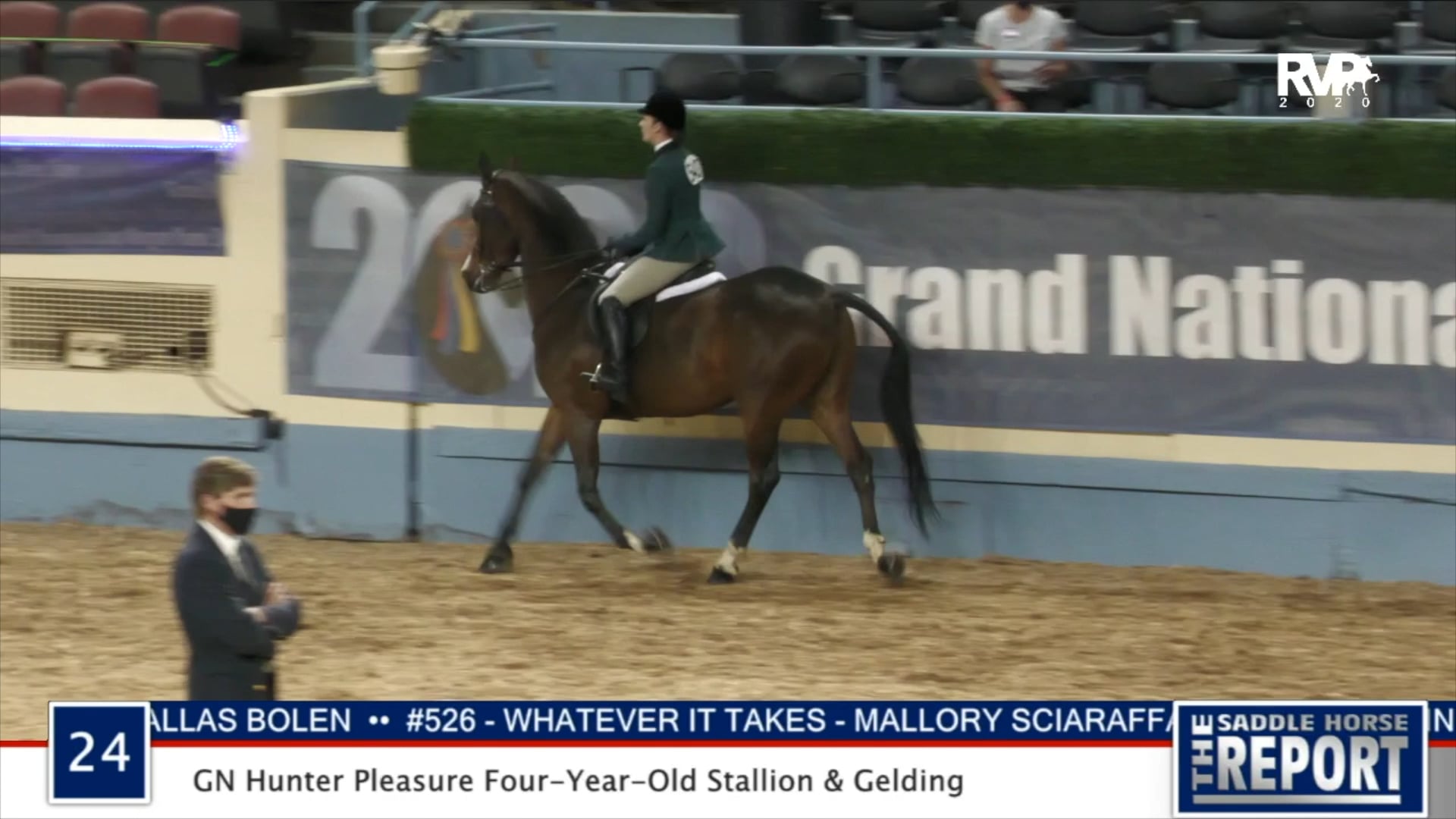 2020 MGN - Class 24 GN Hunter Pleasure Four-Year-Old Stallion & Gelding