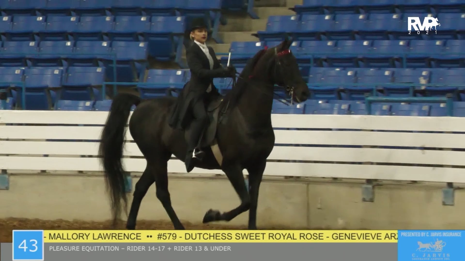 SSSF21 - Class 43 & 43A - Pleasure Equitation 14-17 & 13 & Under