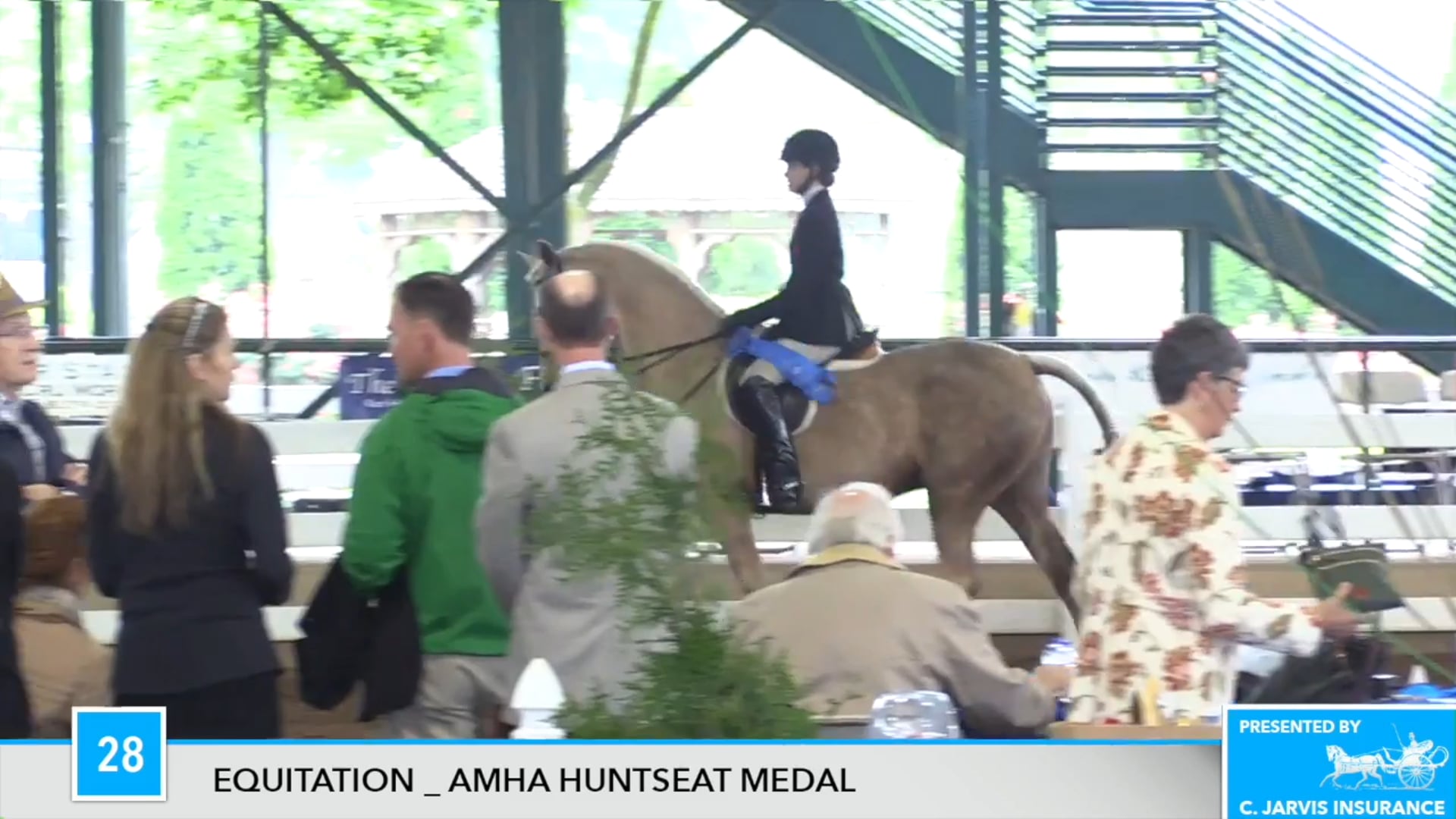 DC17 - Mischief Squared - AMHA Hunt Seat Medal