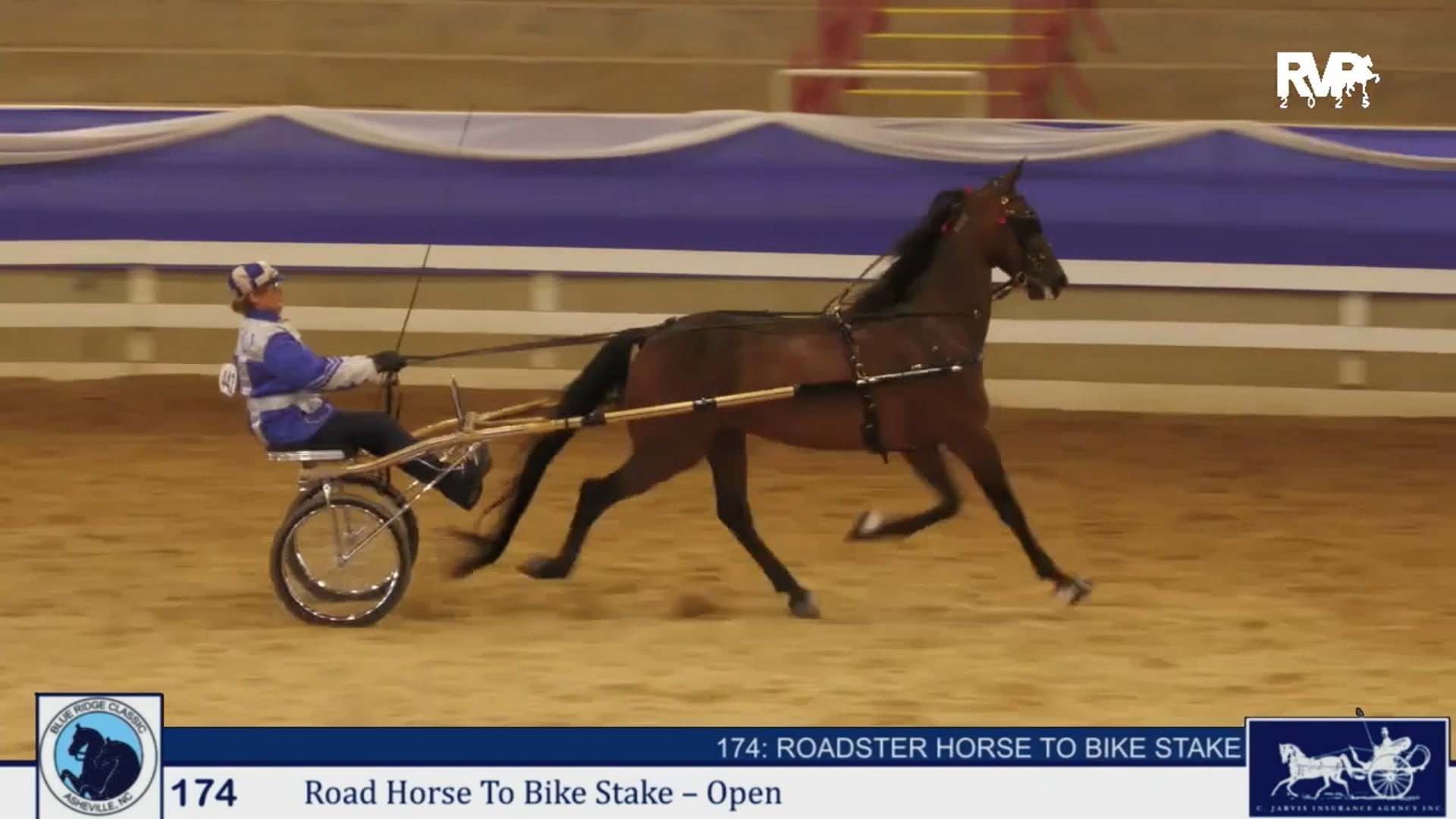 BRC25 - Class 174 - Roadster Horse to  Bike Stake-Open