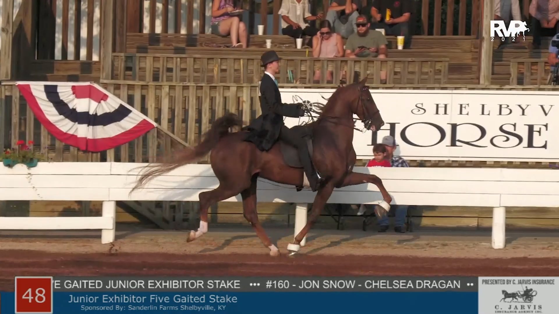SHS21 - Class 48 -  Junior Exhibitor Five Gaited Stake