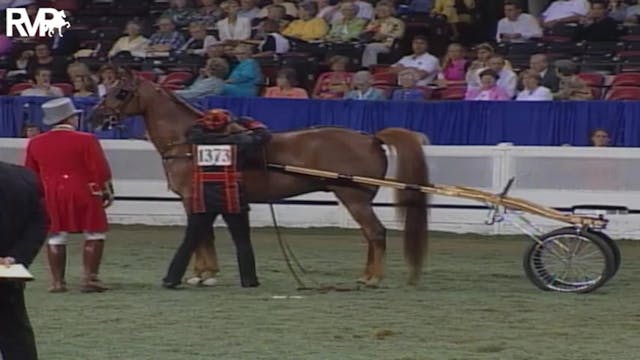 2004 World's Championship Horse Show ...