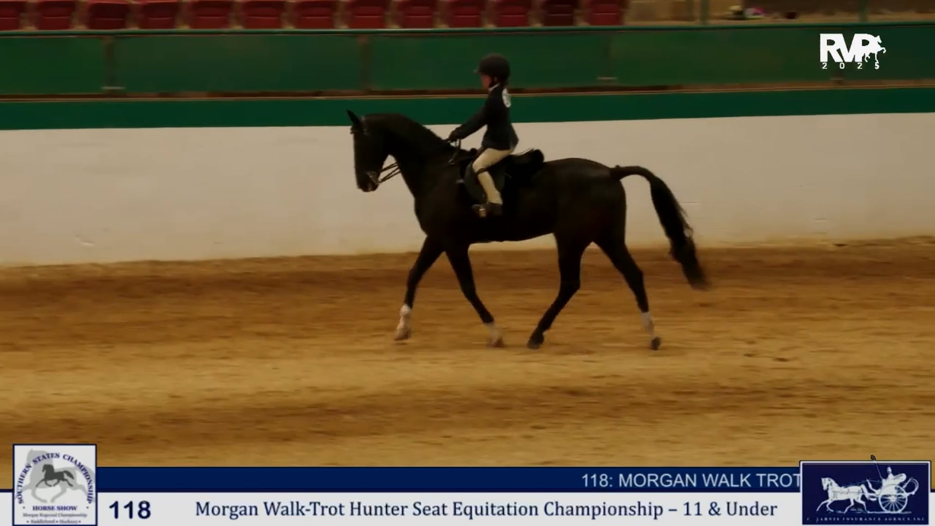 SS25 - Class 118 -  Morgan Walk:Trot Hunter Seat 11 & Under Championship