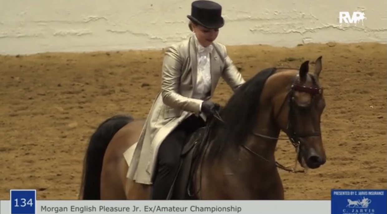 BB21 - Class 134 - Morgan English Pleasure Junior-Amateur Championship