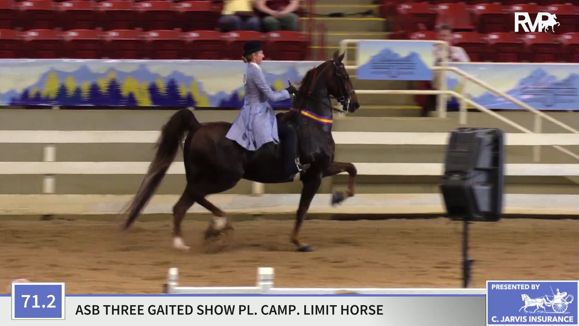 ASC19 - Class 71.2 - I Rock Tom Ford-