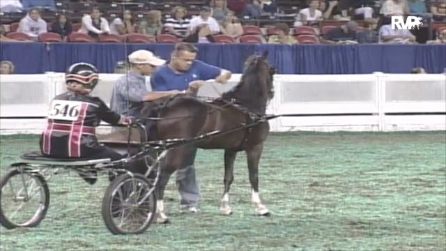 2006 WCHS Class 180 Junior Exhibitor ...