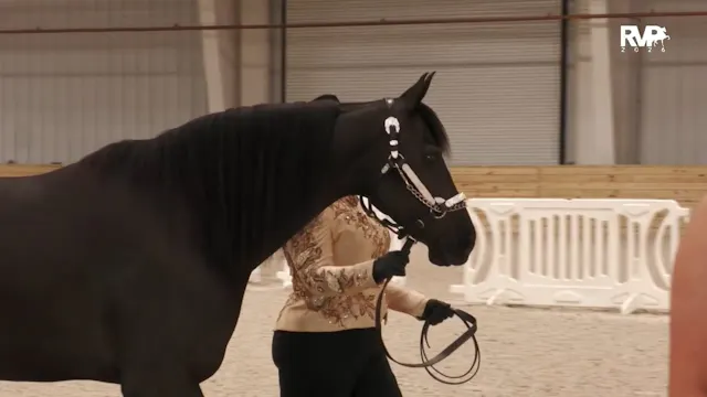 CC26 - Class 120 - Morgan Fitting & S...