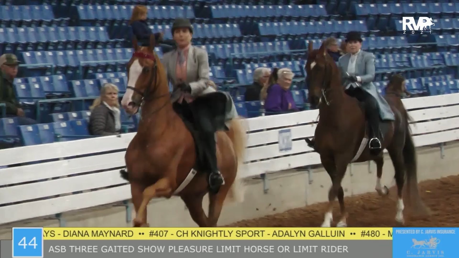 SSSF21 - Class 44 - ASB Three Gaited Show Pleasure Limit Horse or Rider