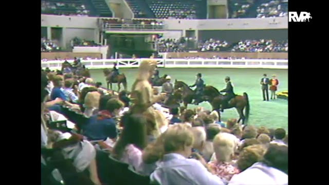 1988 WCHS Class 100 Amateur Gentlemen...