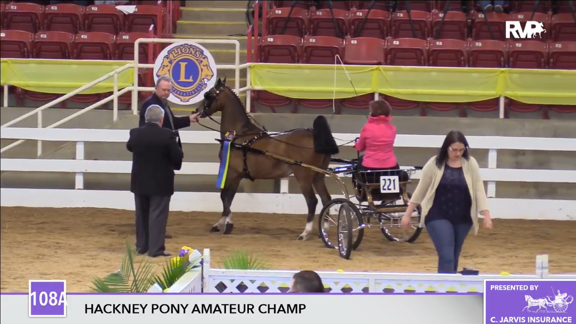 ALCB17 - Hackney Pony Amateur Championship 