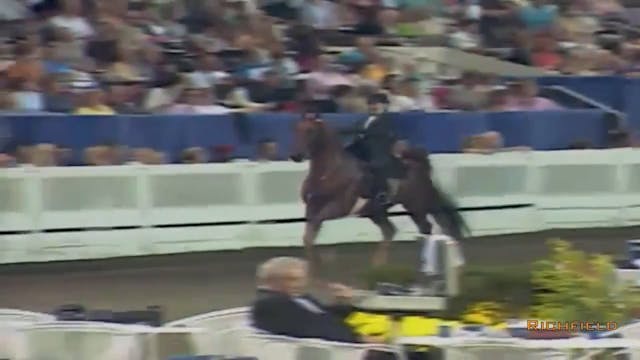 2002 WCHS Class 147 Three Gaited Pony...