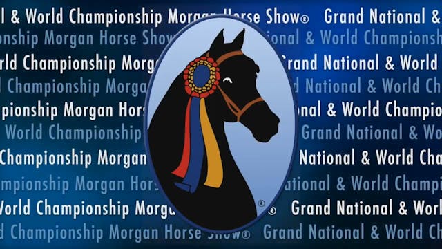 2017 MGN - Coliseum - Monday Morning
