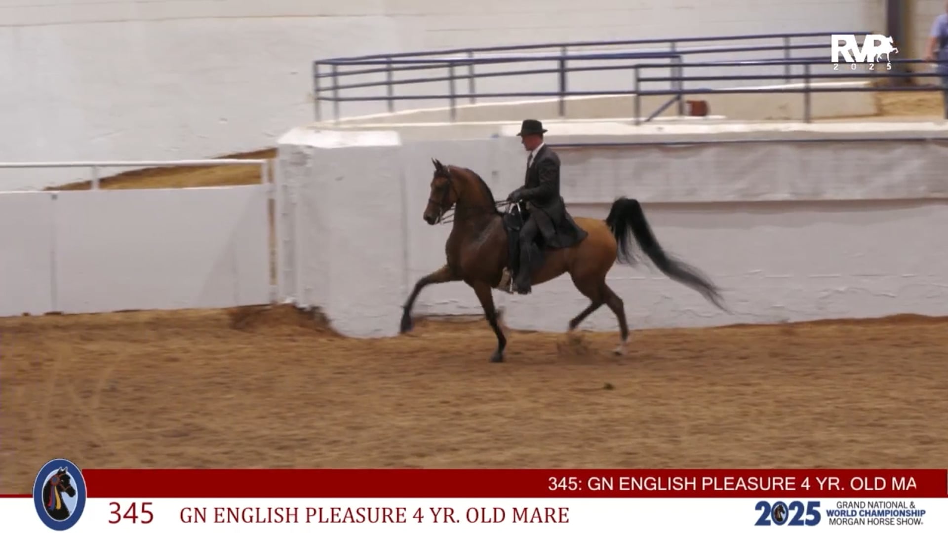 MGN25 - Class 345 - GN English Pleasure Four Year Old Mare
