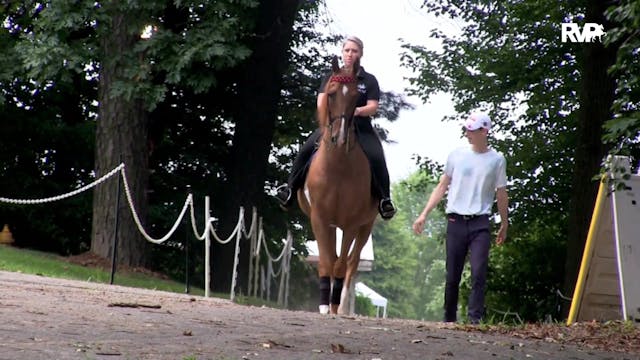 2019 Blue Ridge Classic Horse Show - ...