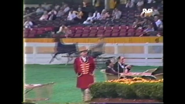 WCHS87 - American Hackney Horse and P...