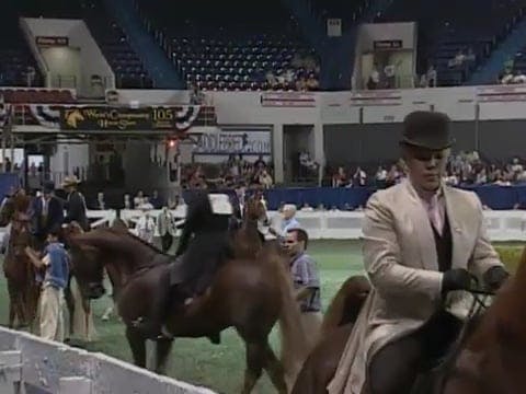 2008 WCHS Class 80 Junior Exhibitor F...