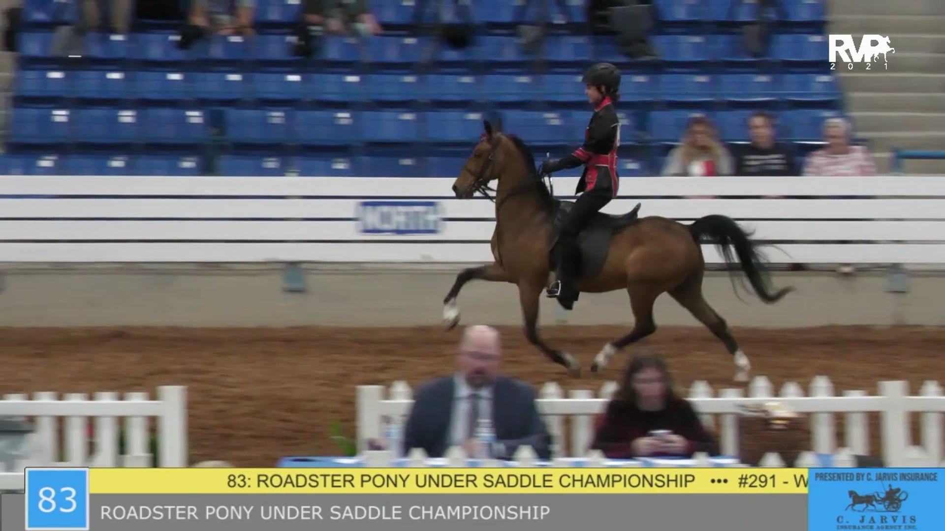 SSSF21 - Class 83 - Roadster Pony Under Saddle Championship