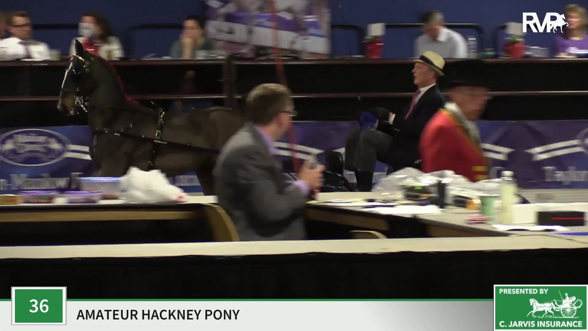 MC19 - Class 36 - Tommy Hilfiger