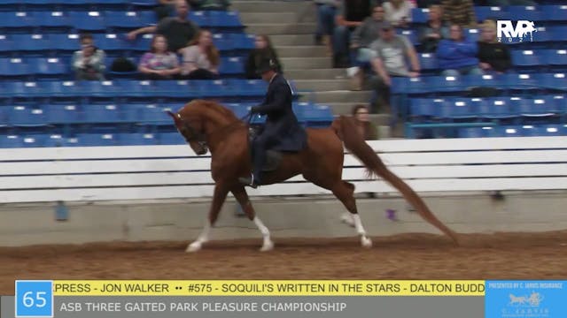 SSSF21 - Class 65 - ASB Three Gaited ...