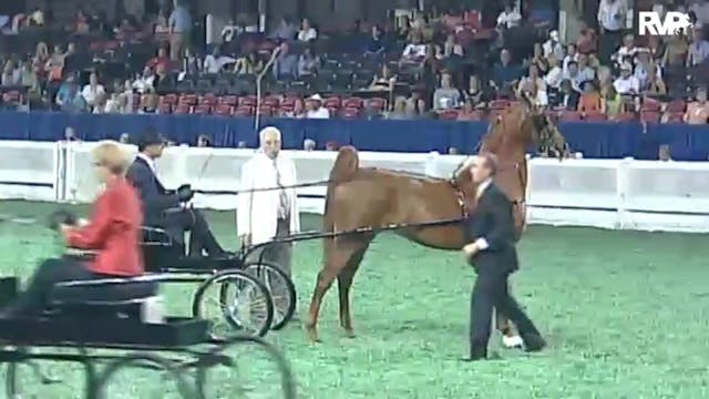 2010 World's Championship Horse Show ...