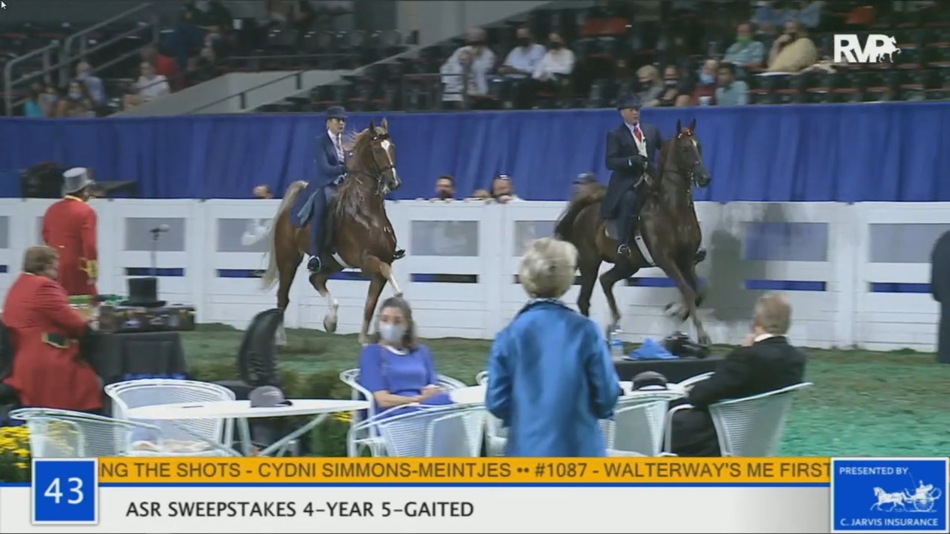 WCHS 2020 Class 43 - ASR Sweepstakes 4-Year Old Five-Gaited
