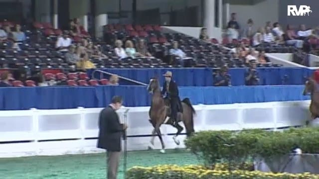 2010 World's Championship Horse Show ...