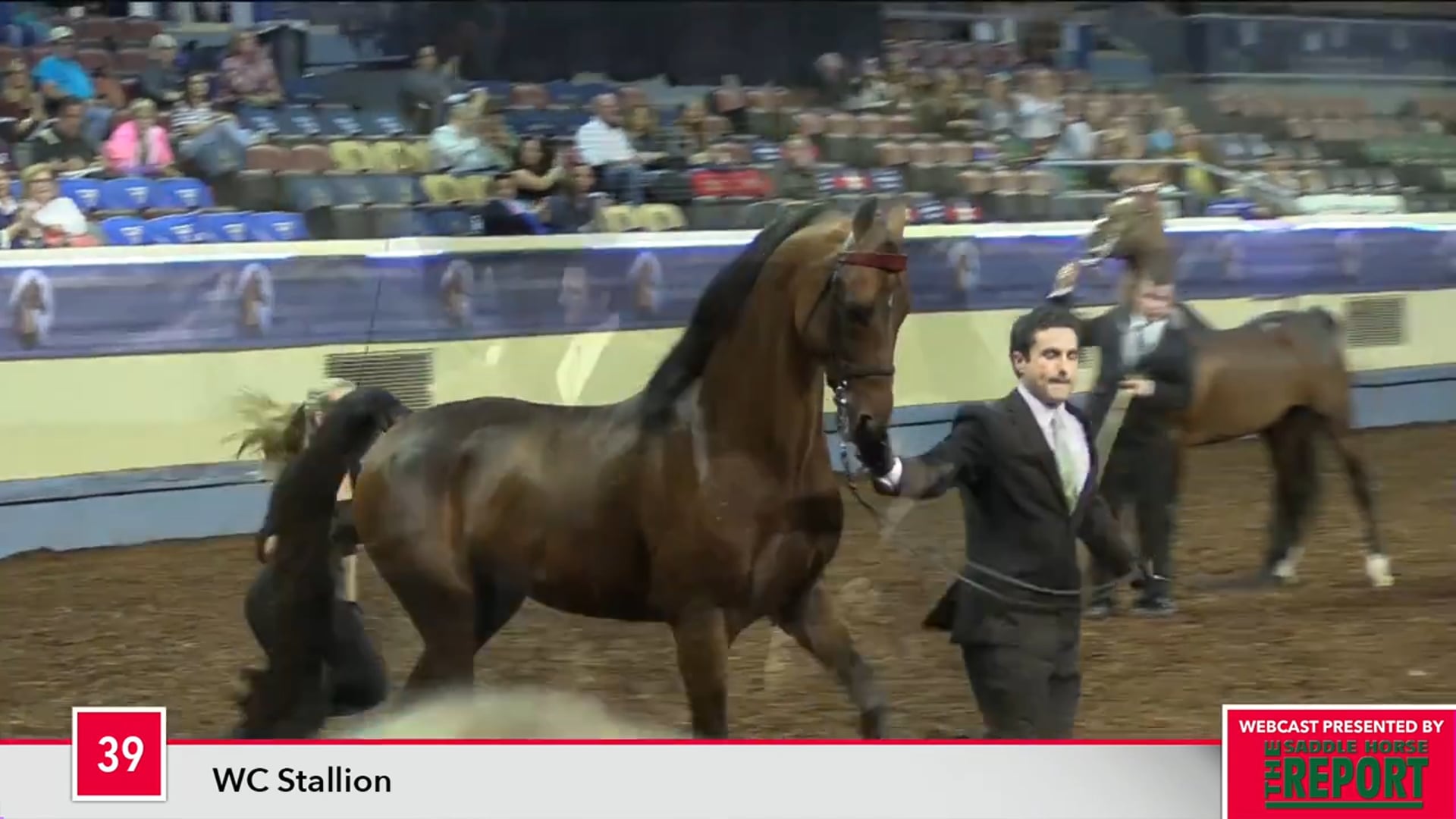 MGN17 - Class 39 - Merriehill After Hours GCH
