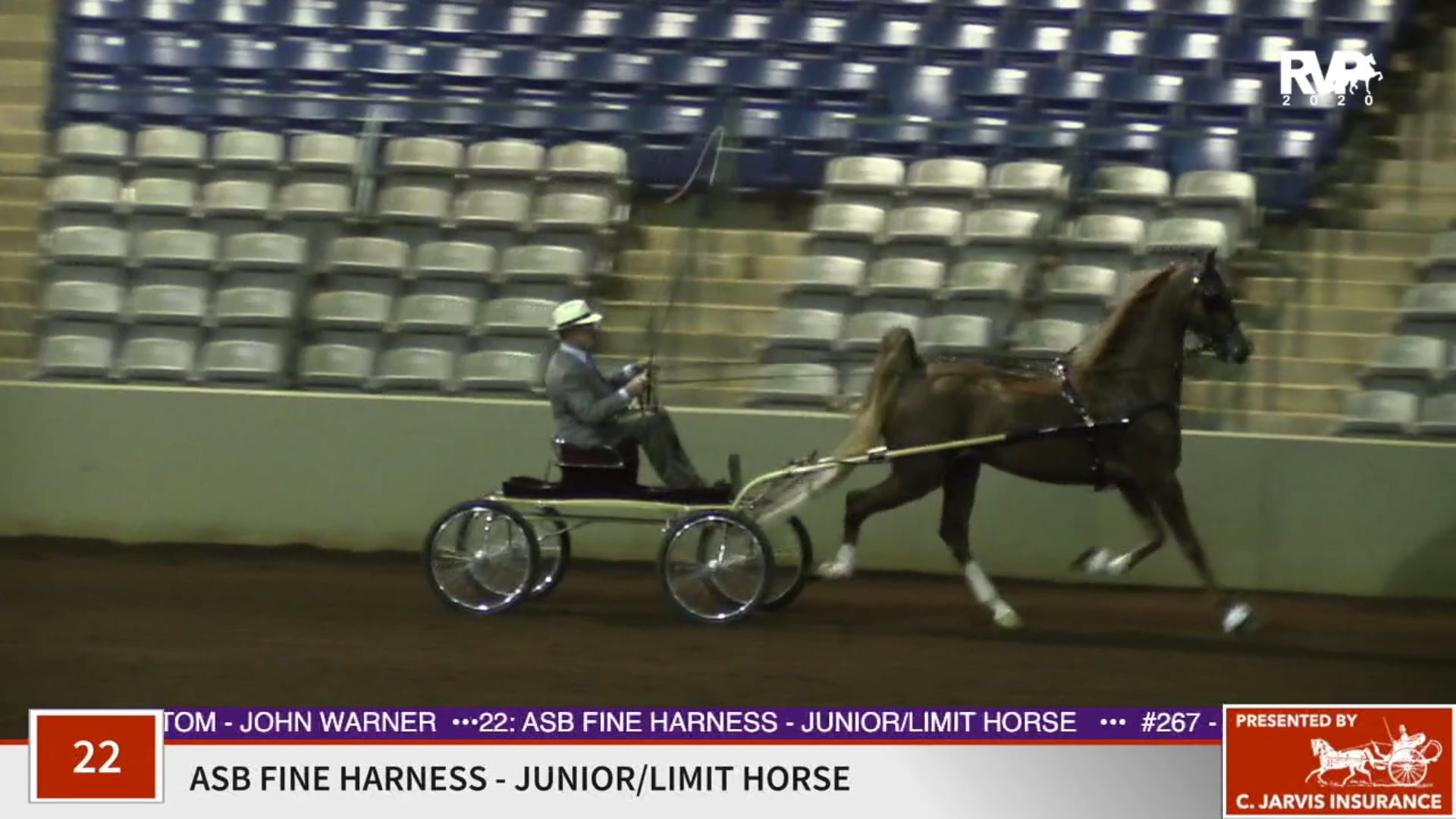 2020 SSFF - Class 22 ASB Fine Harness Junior:Limit
Horse