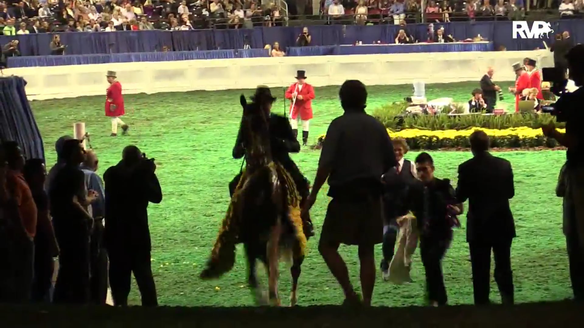 WCHS15 - Scott Higgins - Three Gaited World's Grand Champion