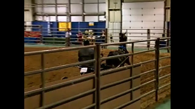 2001 Nebraska Charity - Hackney Pony ...