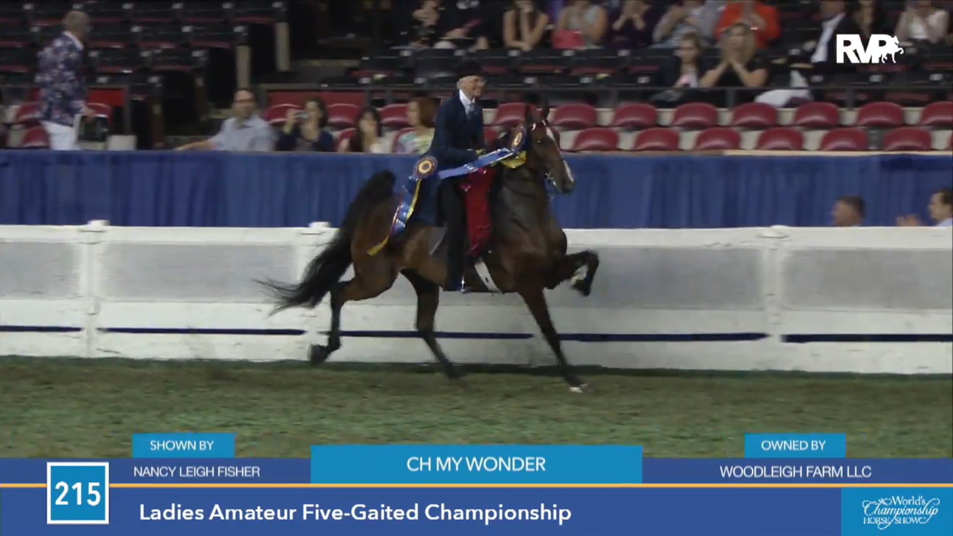 WCHS15 - Ladies Amateur 5 Gaited Championship