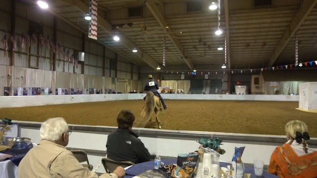 GASP17 - Roselane's Angelo - Champion...