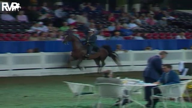 2004 World's Championship Horse Show ...