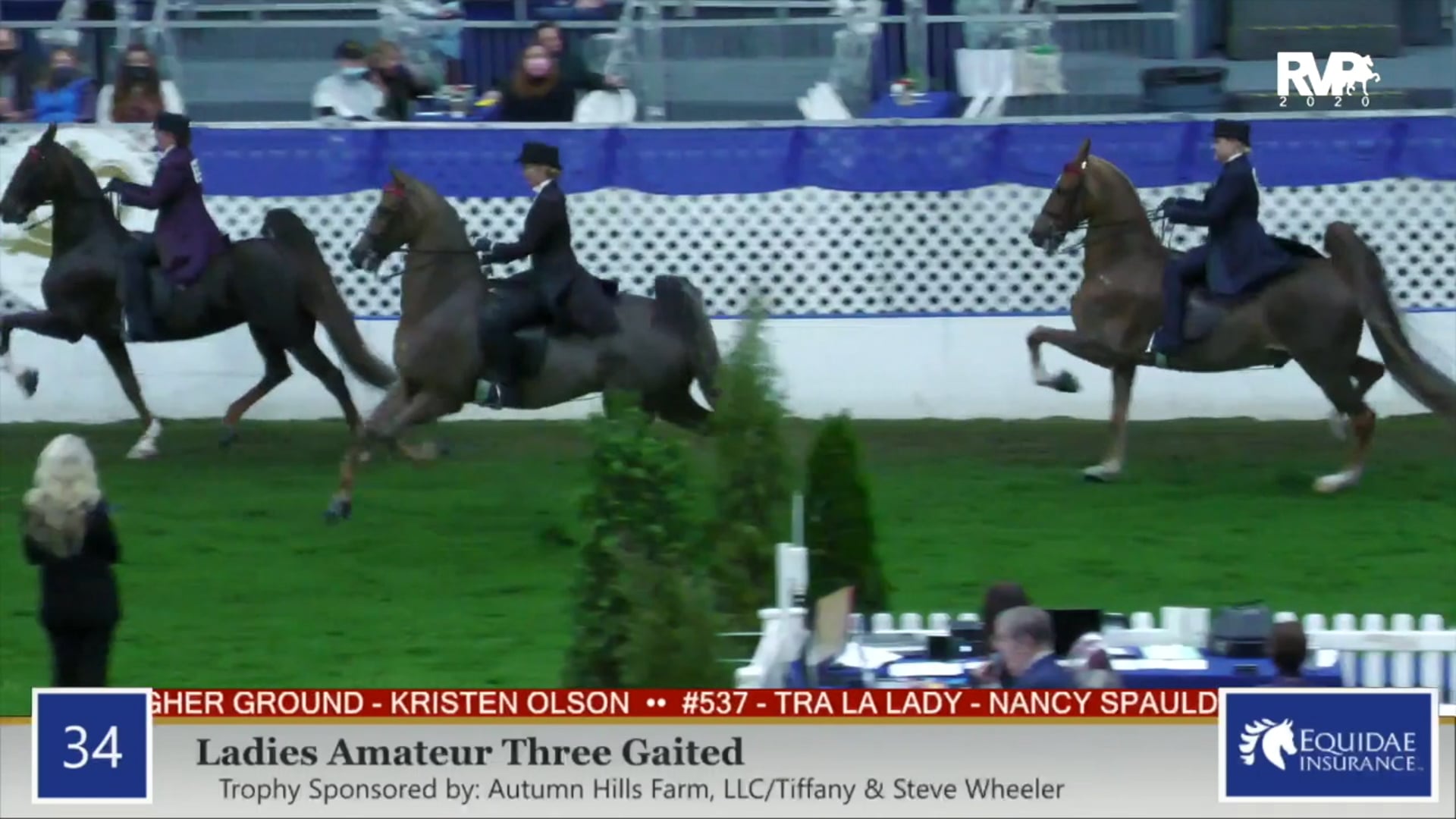 2020 AR - Class 34 Ladies Amateur Three Gaited