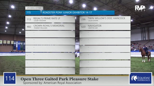 2020 AR - Class 114 Open Three Gaited...